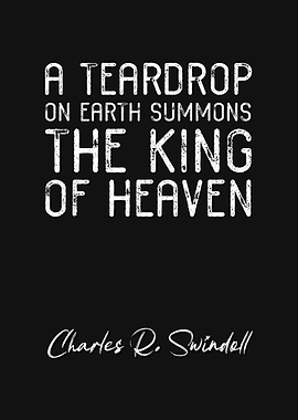Charles R Swindoll Quote 9