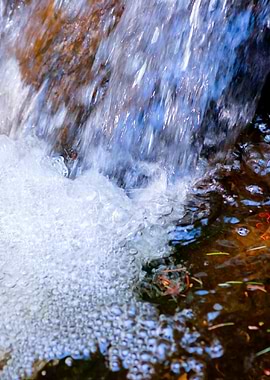 Current Of A Forest Spring