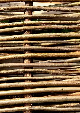 Wicker Fencing Pattern