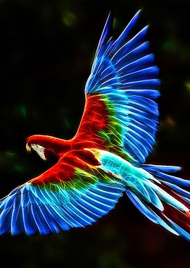 Parrot fractal