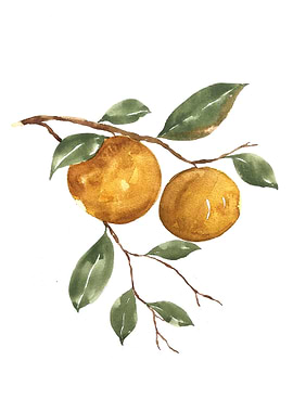 Fruit