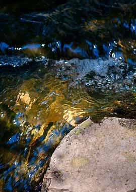 Clean Water Forest Brook