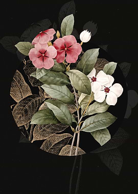 Vintage Periwinkle Flower