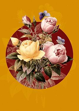 Vintage Variety of Roses