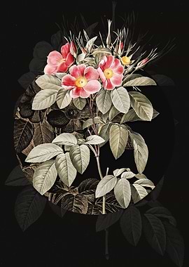 Red Blooming Pasture Rose