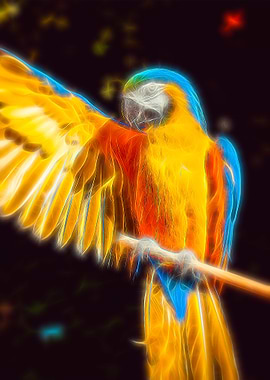Parrot fractal