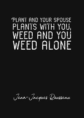 Jean Jacques Rousseau Q6