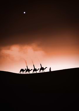 camel train