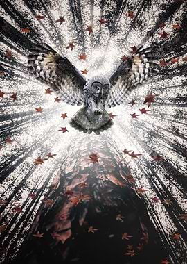 The Majestic Forest Owl