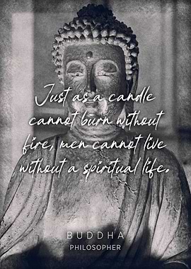 Buddha Quote 3