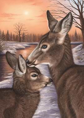 Deer and Fawn