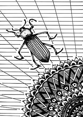 A bug and mandala part