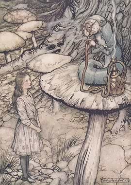 Alice And The Caterpillar