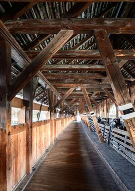 Old Bridge in Thun