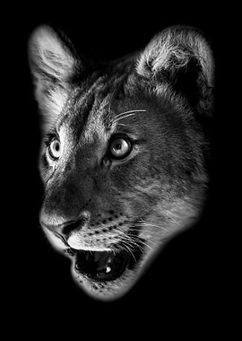 baby lion face poster