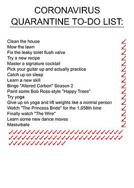 Quarantine To Do List
