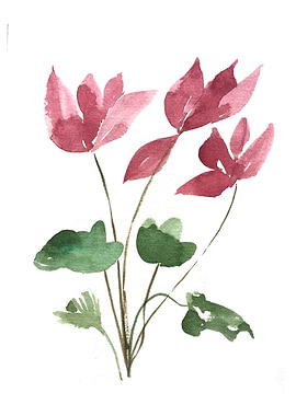 Botanical