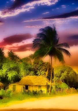Tropical sunset