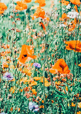 Eva | Nature Floral Meadow