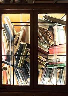 Lit Book Cabinet