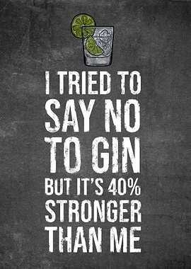 Gin Lover Funny Saying