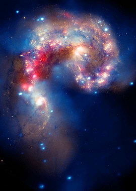 Des etoiles dans les yeux