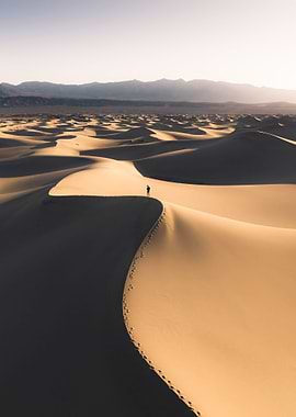 Desert landscape