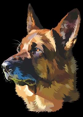 german shepherd