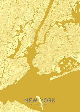 New York map silvergold