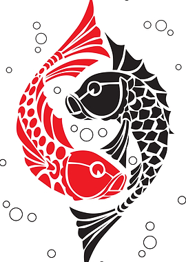 Carp koi
