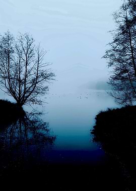 Dark lake