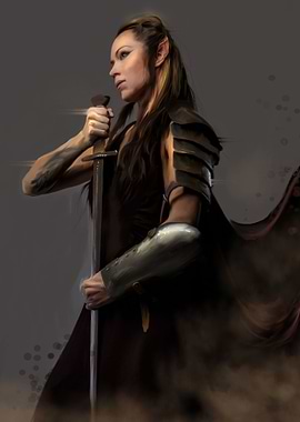 Elf Warrior
