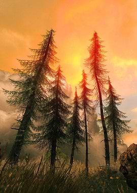 Pine Woods Sunset Fantasy