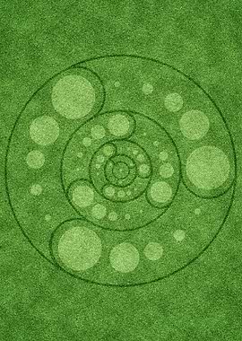 Crop circle 11