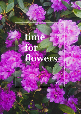 time for flowers