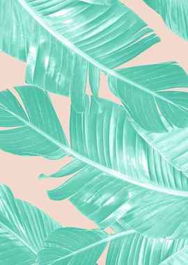 Summer Banana Leaves 1