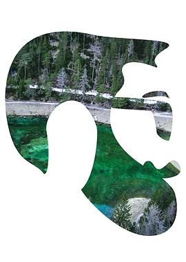 Double Exposure Head 2