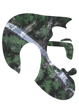 Double Exposure Head 3