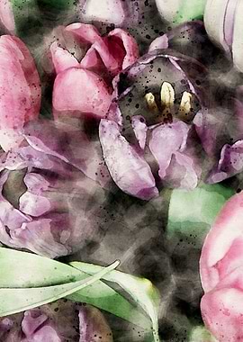 Purple and Pink Tulips