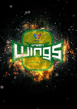 Wings