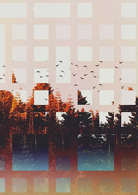 The All Learned Before Me