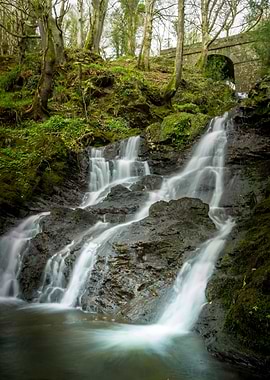 fairy tree waterfall