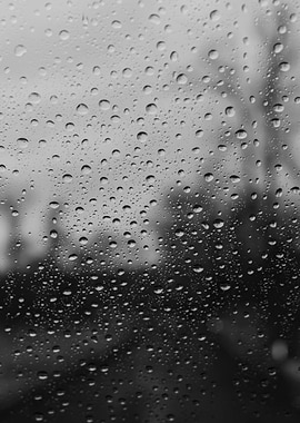 Black and White Rain