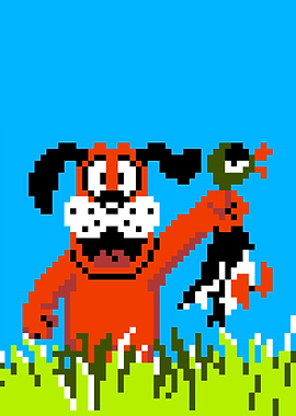 Duck Hunter