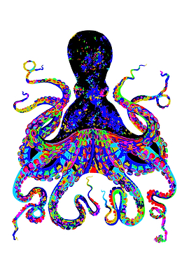 octopus animal colors