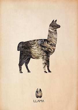 Llama Silhouette Texture