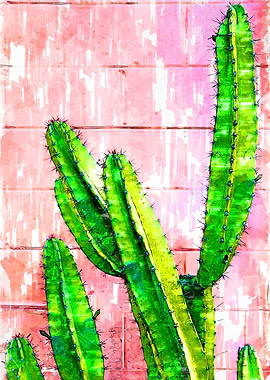 Green Cactus Pink Wall