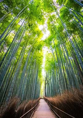 Beautiful landscape of bam