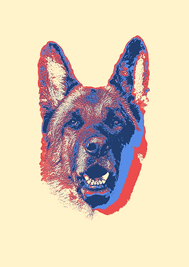 German Shepherd