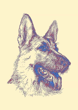 German Shepherd
